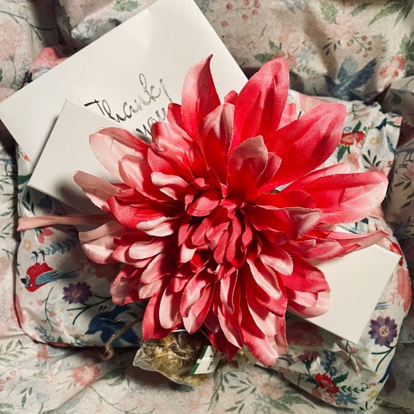 Meet your Posher, Mia - Picture 13 of 16